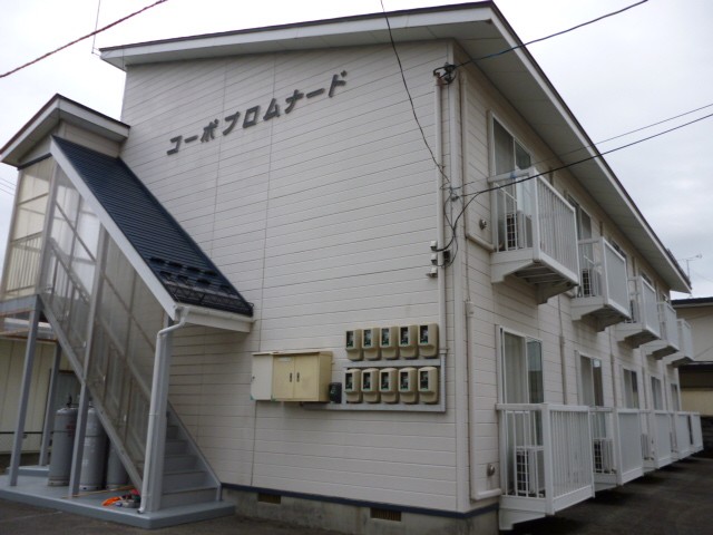 ｺｰﾎﾟﾌﾟﾛﾑﾅｰﾄﾞ