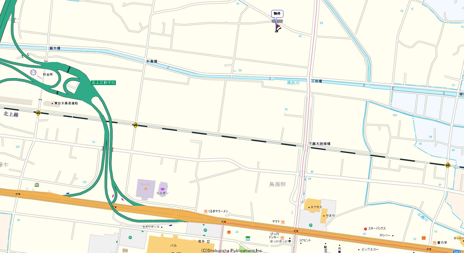 トレポンテA_画像2