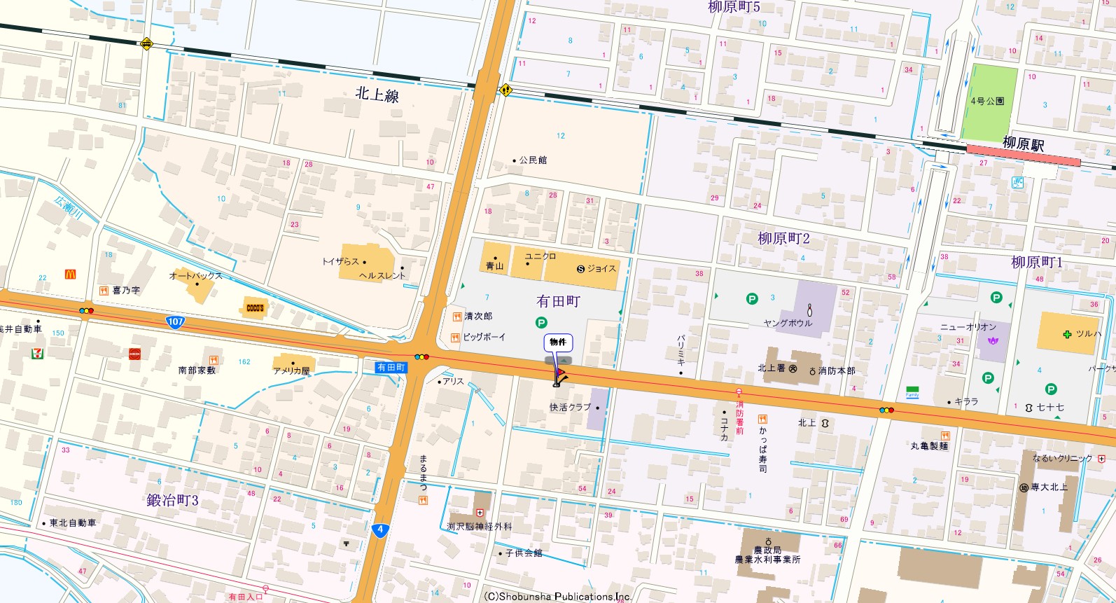 ｱﾘﾄﾋﾟｱ_画像3